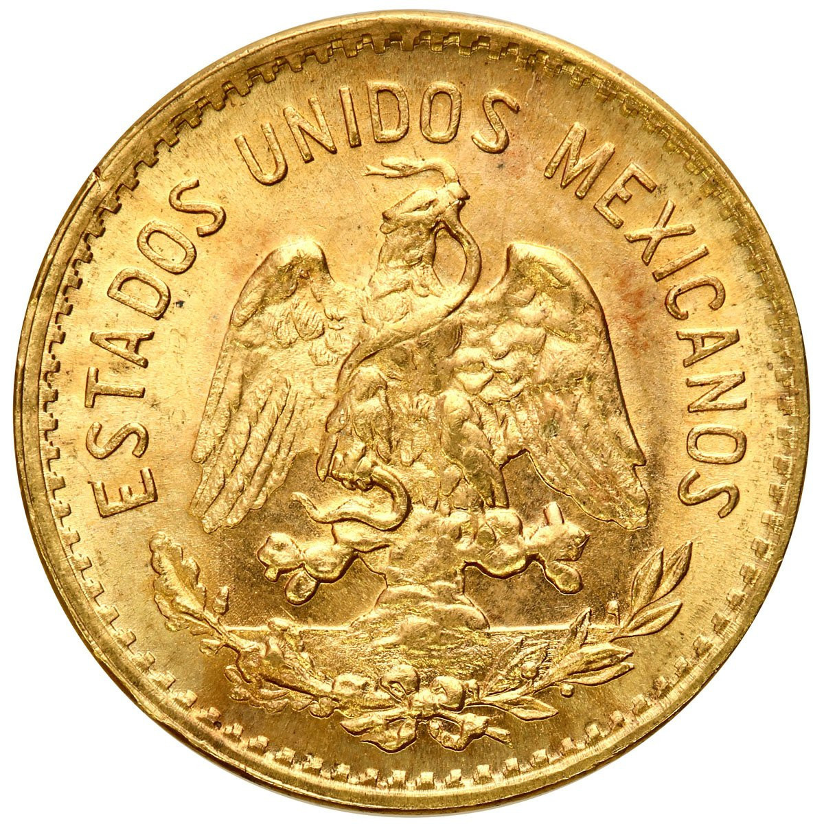 Meksyk. Złote 5 pesos 1955 M